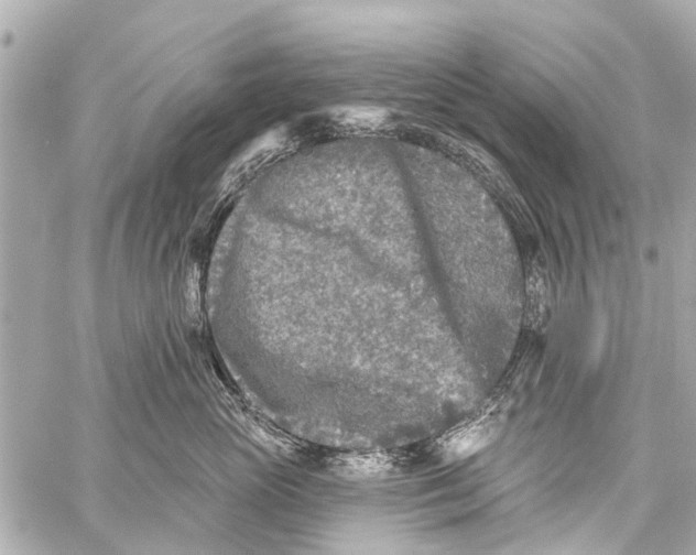 X0000059080765200511041821