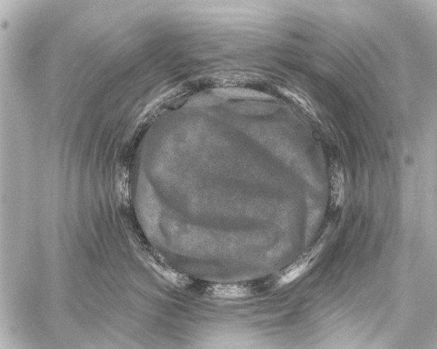 X0000059080766200511041821