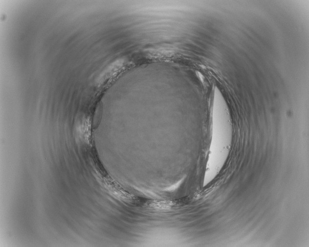 X0000059080767200511041821