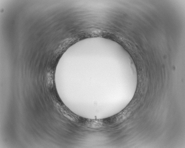 X0000059080768200511041821