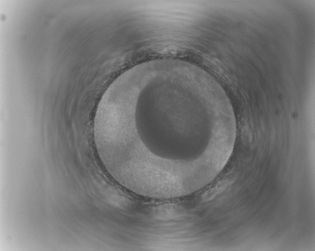 X0000059080769200511041820