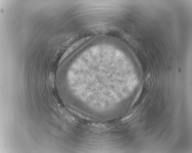 X0000059080772200511041820