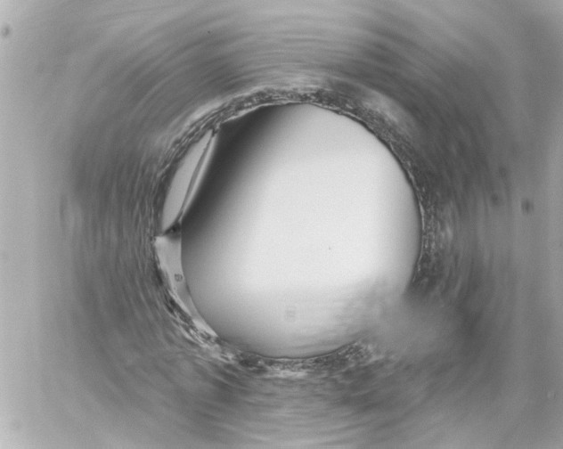 X0000059080773200511041820