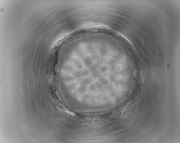 X0000059080775200511041820