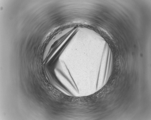 X0000059080776200511041820