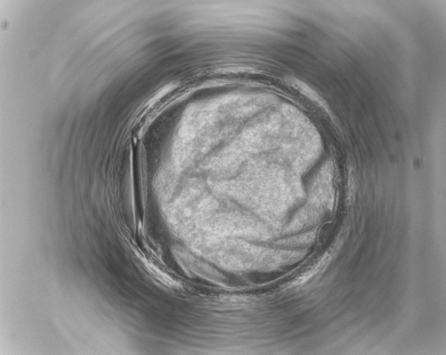 X0000059080777200511041820