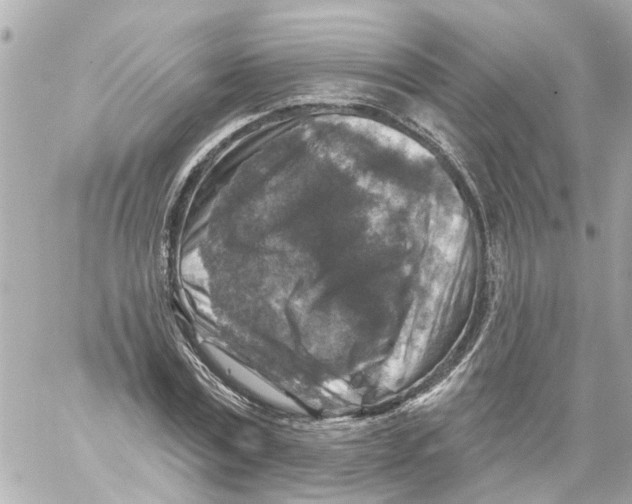 X0000059080779200511041820