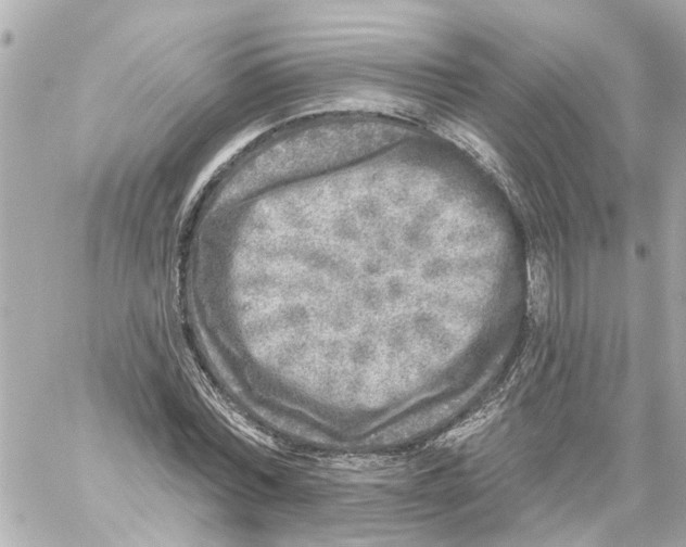 X0000059080780200511041820