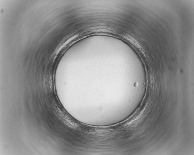 X0000059080782200511041820