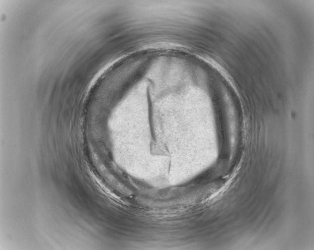 X0000059080783200511041820