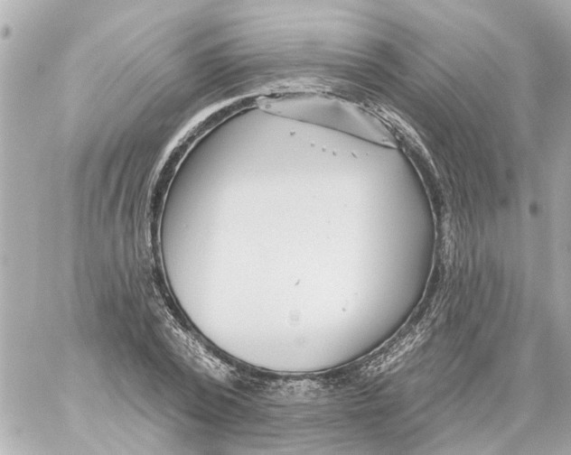 X0000059080784200511041820