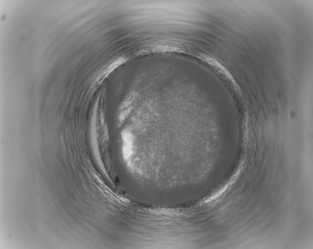 X0000059080785200511041820