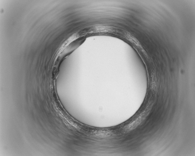 X0000059080786200511041820