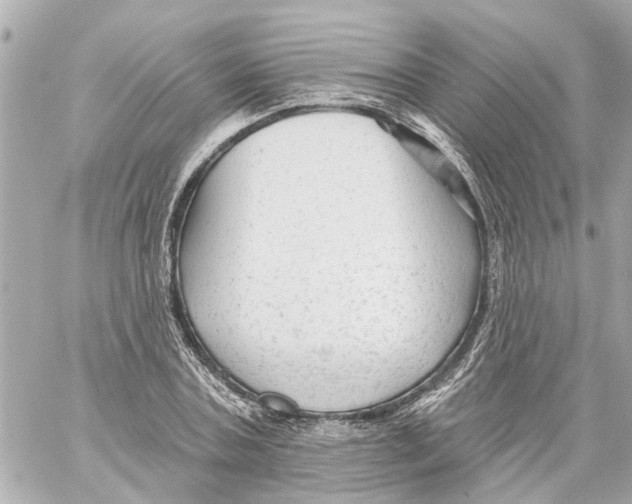 X0000059080787200511041820