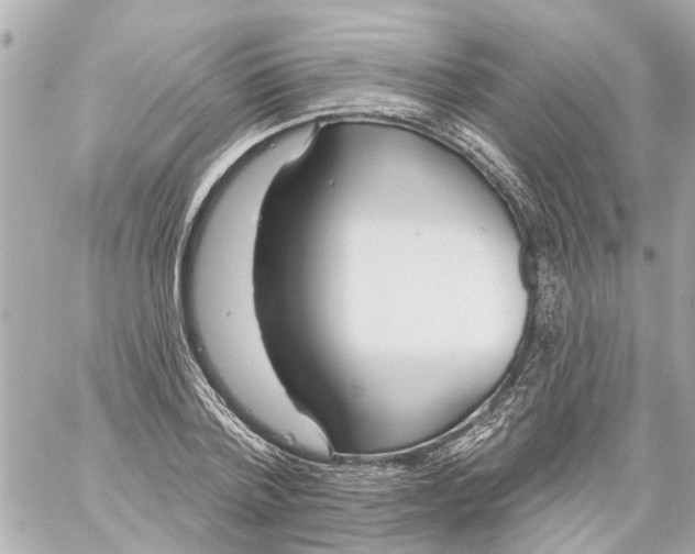 X0000059080788200511041820