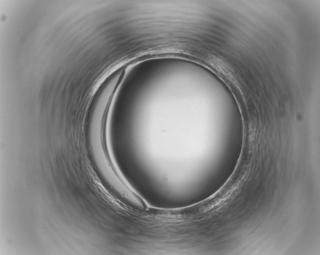 X0000059080789200511041820