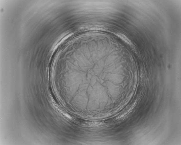 X0000059080790200511041820