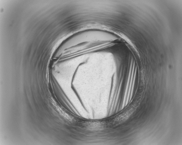 X0000059080791200511041820