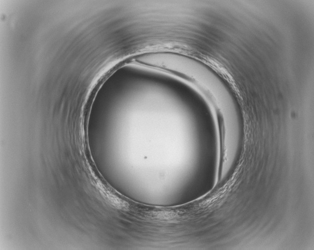 X0000059080792200511041820