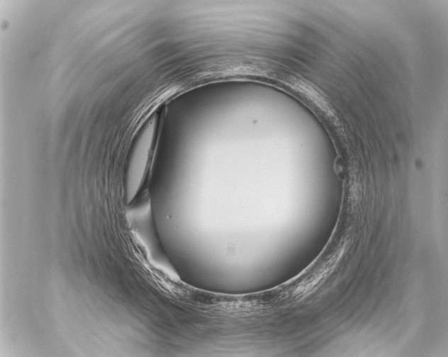 X0000059080793200511041820