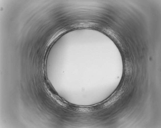 X0000059080794200511041820