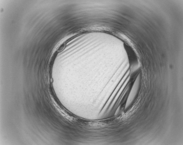 X0000059080795200511041820