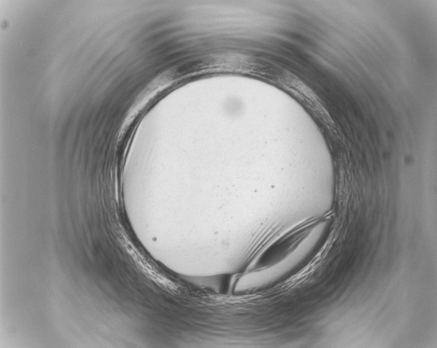 X0000059080796200511041820