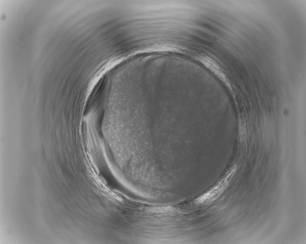 X0000059080797200511041820