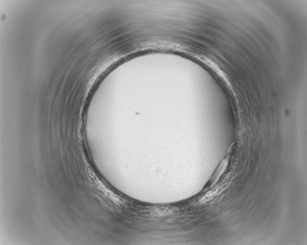 X0000059080799200511041820