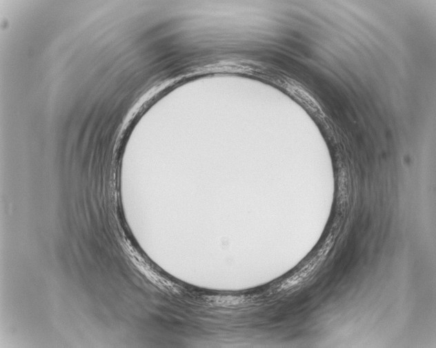 X0000059080800200511041820