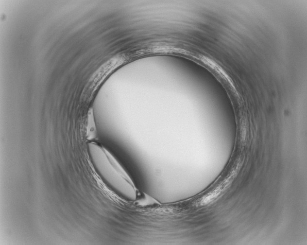 X0000059080801200511041820