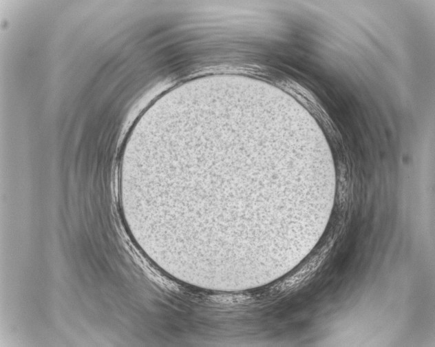 X0000059080804200511041820