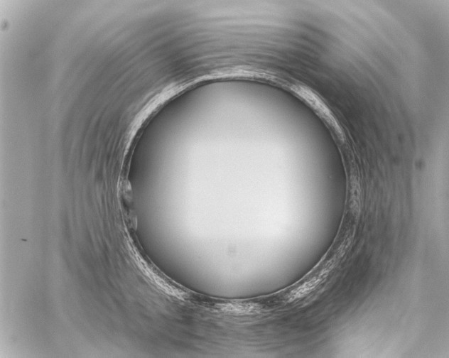 X0000059080805200511041820