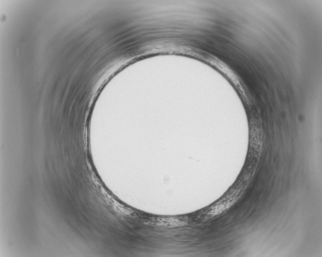 X0000059080807200511041819