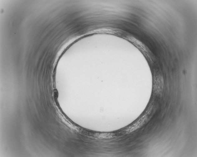 X0000059080808200511041819