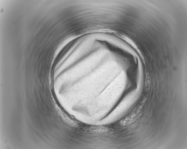 X0000059080811200511041819