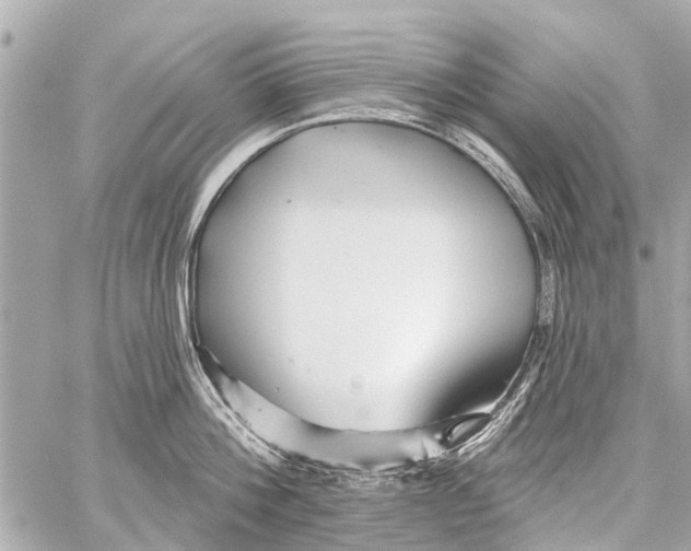 X0000059080812200511041819