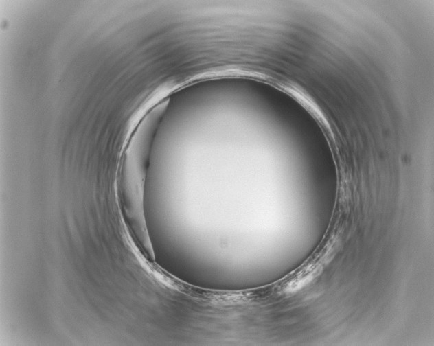 X0000059080813200511041819