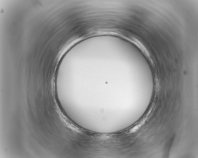 X0000059080814200511041819