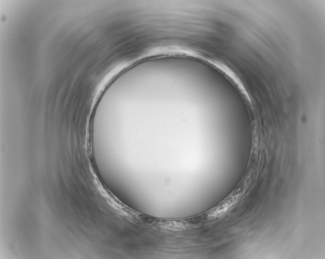 X0000059080815200511041819