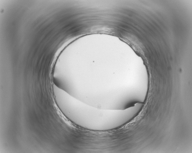 X0000059080816200511041819