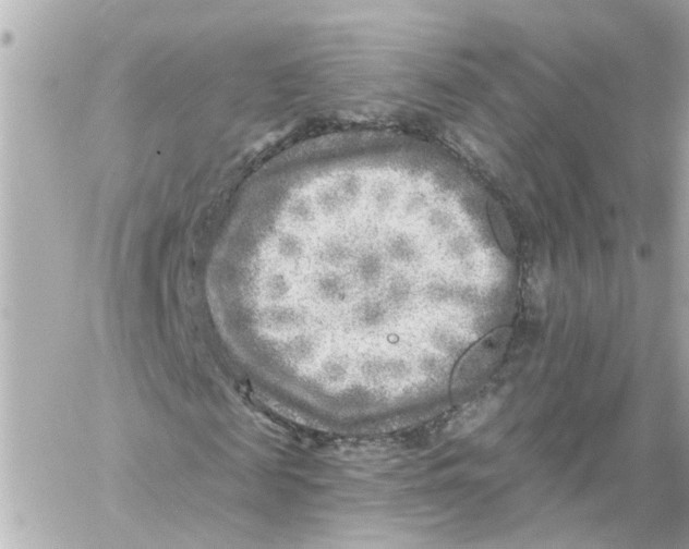 X0000059080817200511041819