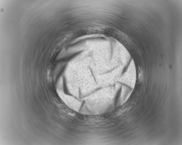 X0000059080819200511041819