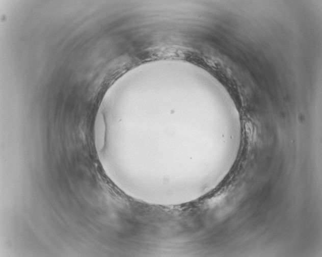 X0000059080820200511041819