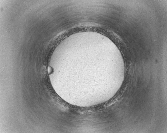 X0000059080821200511041819