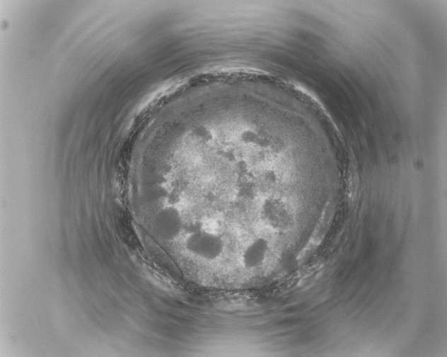 X0000059080823200511041819