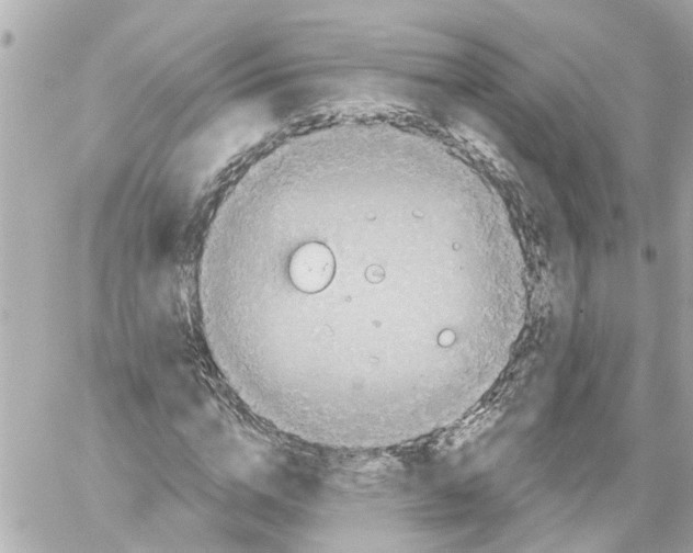 X0000059080824200511041819