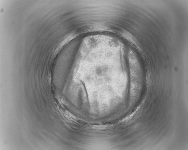 X0000059080825200511041819