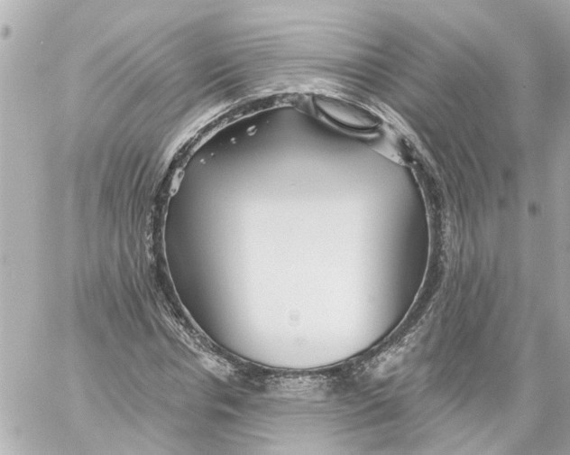 X0000059080826200511041819