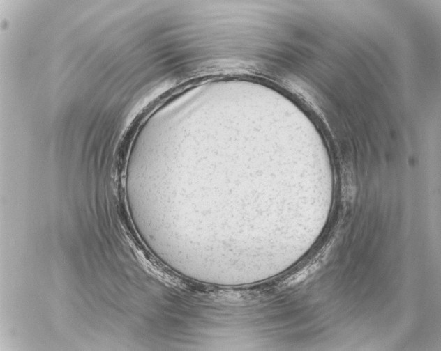 X0000059080827200511041819